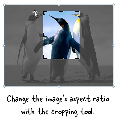Articulate Rapid E-Learning Blog - use the cropping tool to create teh right aspect ratio in PowerPoint or Storyline
