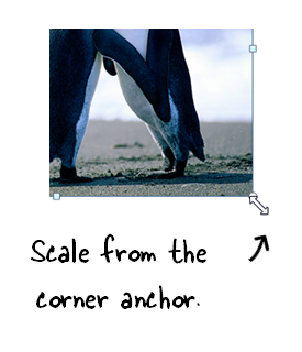 Articulate Rapid E-Learning Blog - scale images using the corner anchors in PowerPoint or Storyline