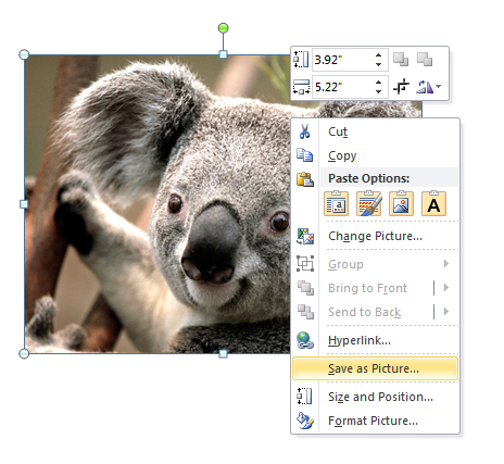 The Rapid E-Learning Blog - Save as picture in PowerPoint