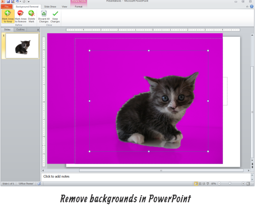 The Rapid E-Learning Blog - Easily remove backgrounds from photos with PowerPoint 2010